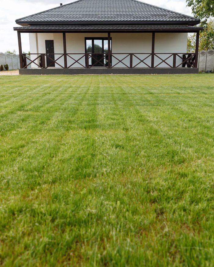 Freshly mowed front lawn with clean stripes leading up to the house