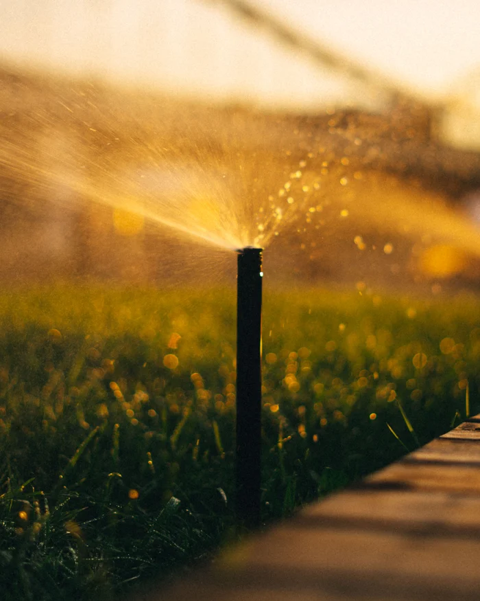 Pop up sprinkler head spraying water across a green lawn